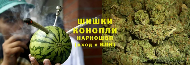 где купить наркоту  Городовиковск  Шишки марихуана Amnesia 